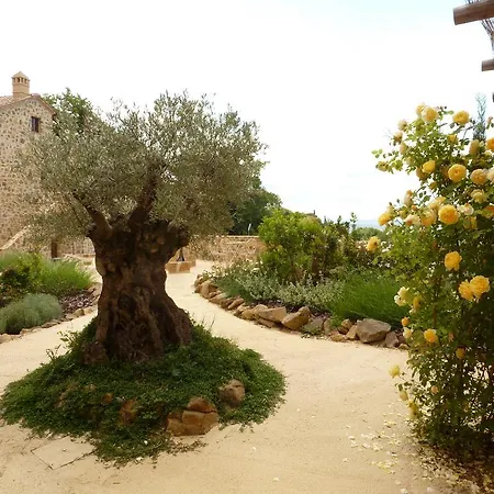 Castel Brunello Μονταλτσίνο