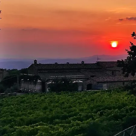 Castel Brunello مونتالشينو