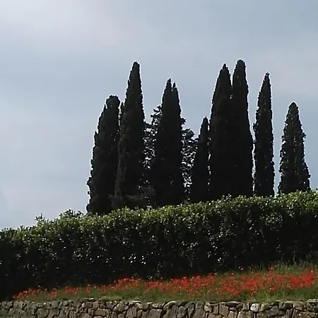 Castel Brunello * Montalcino