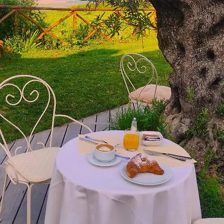 شقة Castel Brunello مونتالشينو