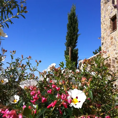 Apartamento Castel Brunello Montalcino