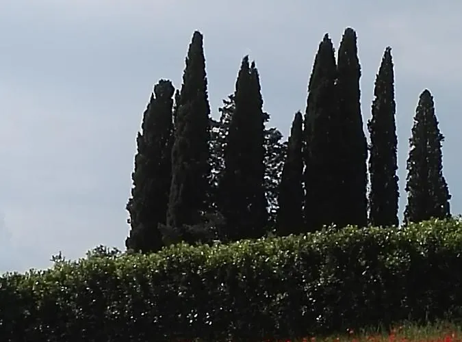 Castel Brunello * Montalcino