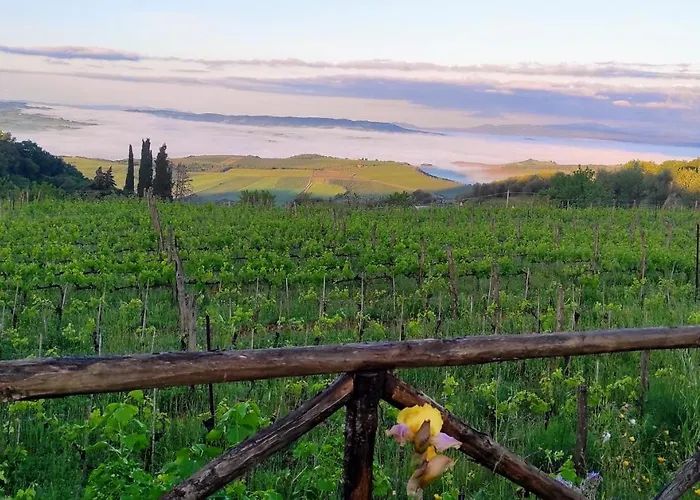 Apartamento Castel Brunello